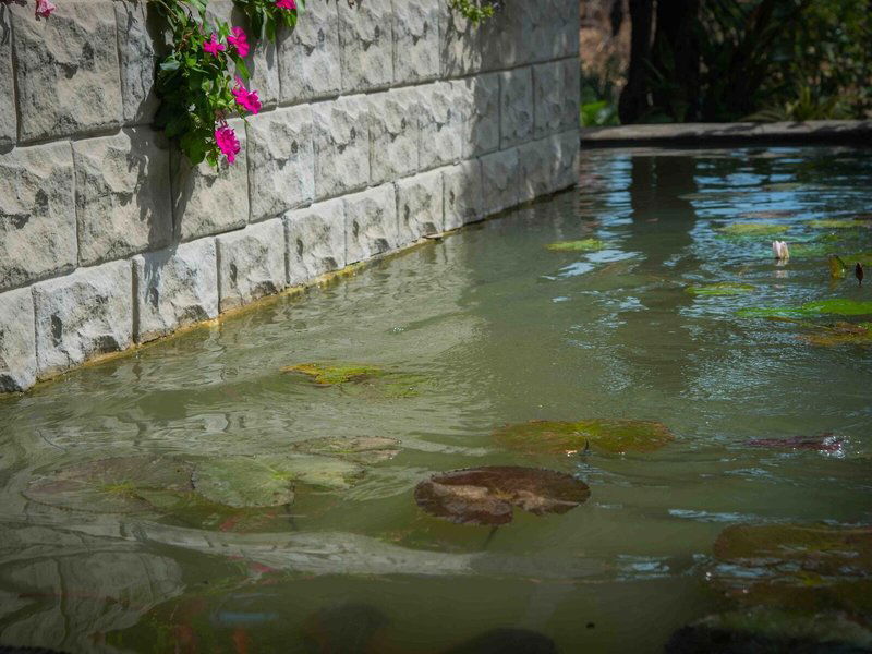 Hotel Sungreen Resort & Spa