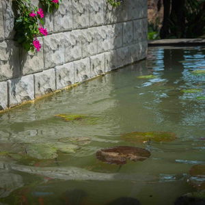 Hotel Sungreen Resort & Spa cazare Habarana