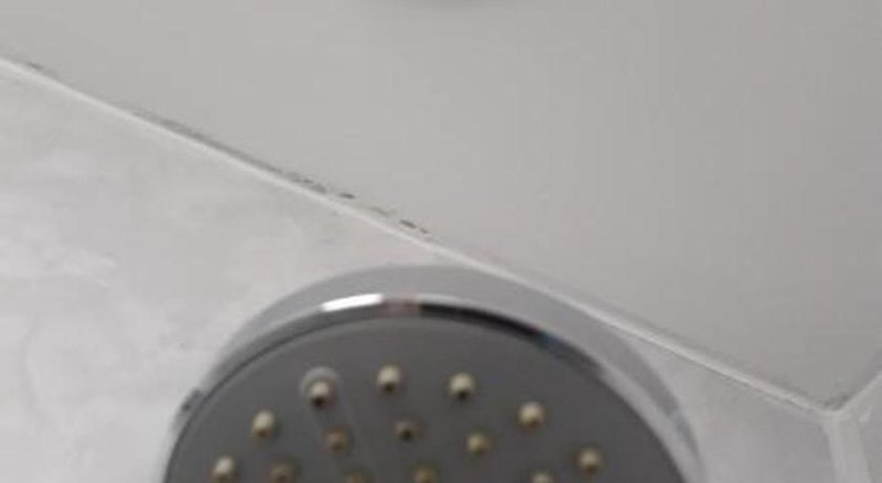 Hotel Avenue Club And Lodge