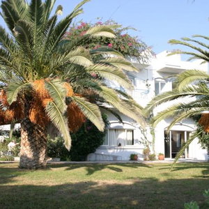 Hotel Gorgona Hotel Amoudara cazare Ammoudara
