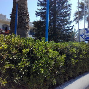 Hotel Gorgona Hotel Amoudara cazare Ammoudara