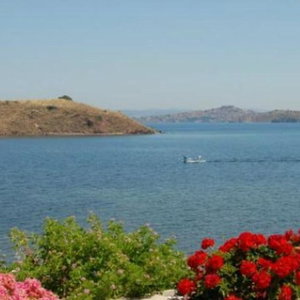 Hotel Birds Bay cazare Petra