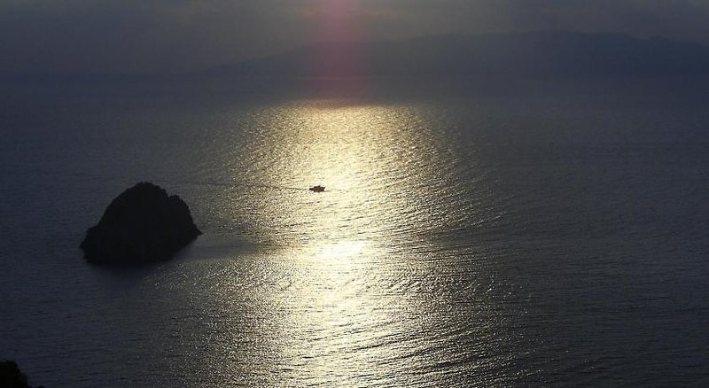 Sole
