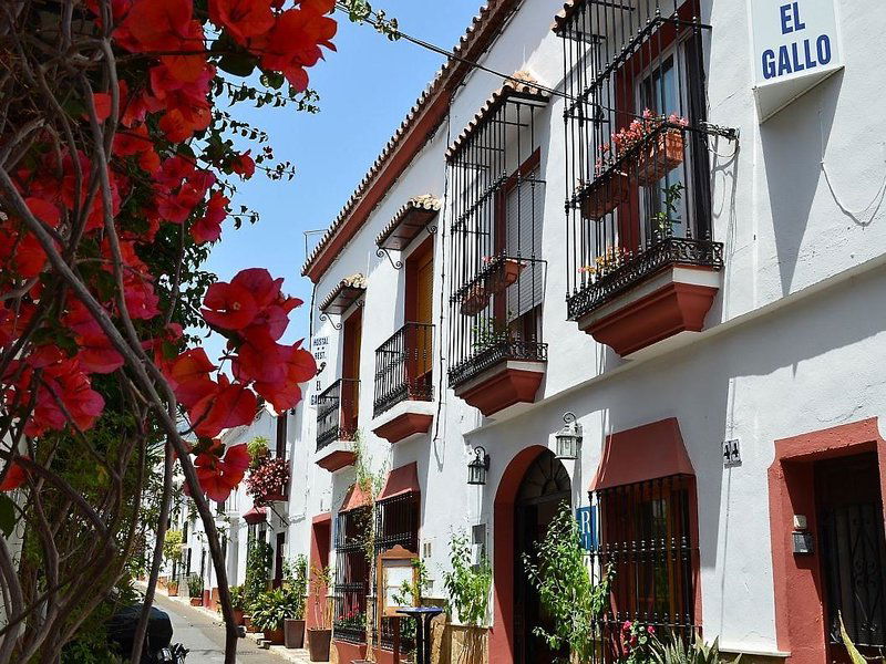 Hotel Hostal El Gallo
