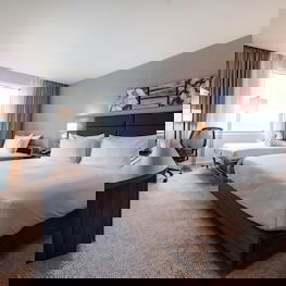 Hotel Hilton Garden Inn Birmingham Airport cazare Birmingham