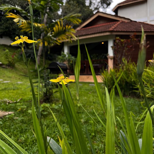Hotel Erya By Suria Janda Baik