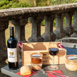 Hotel The Originals Chateau De Tauzies cazare Gaillac