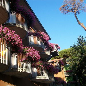 Hotel Bed And Breakfast Nazionale cazare Milano Marittima