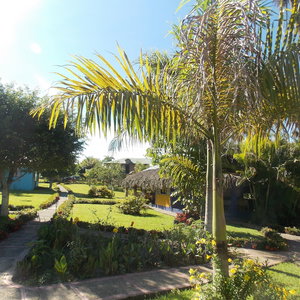 Hotel Los Bohios Campo Añil cazare Jarabacoa