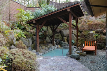 Hotel Ajisai Onsen Ryokan