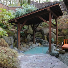Hotel Ajisai Onsen Ryokan cazare Hakone
