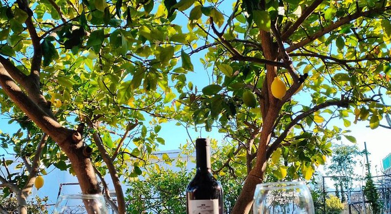 Hotel Sky-Line Apartments