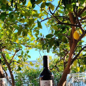 Sejur Sky-Line Apartments vacanta Afantou