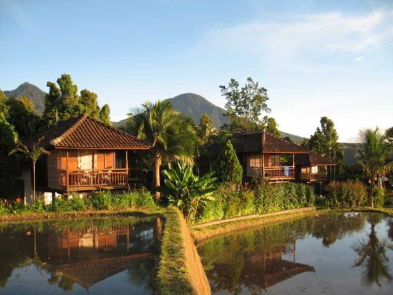 Hotel Puri Lumbung Cottages