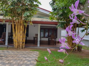 Hotel White Villa Beach Resort cazare Mirissa city