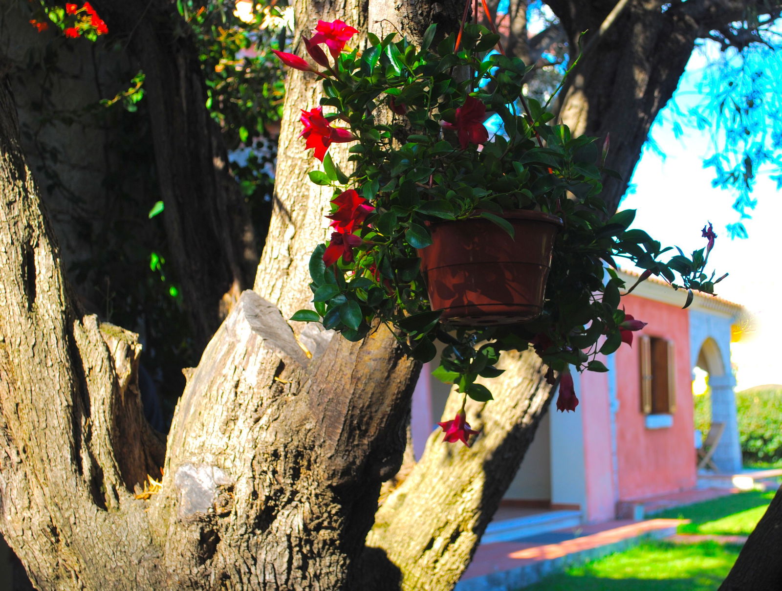 Hotel Vecchio Stazzo Apartments