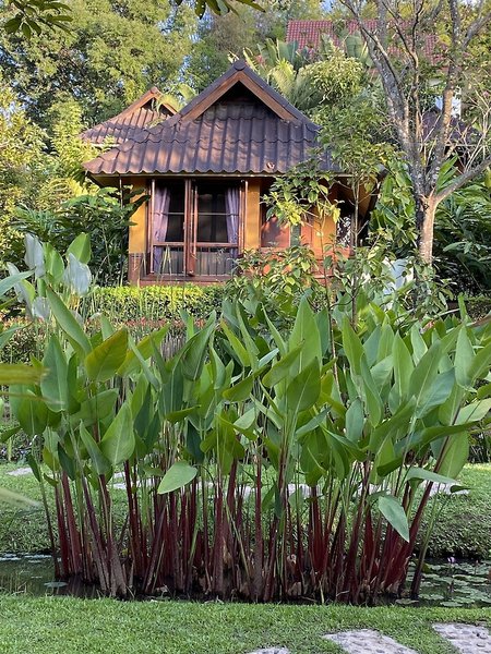 Hotel Puravida Pai Resort