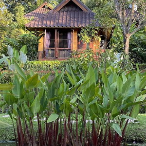 Hotel Puravida Pai Resort cazare Pai
