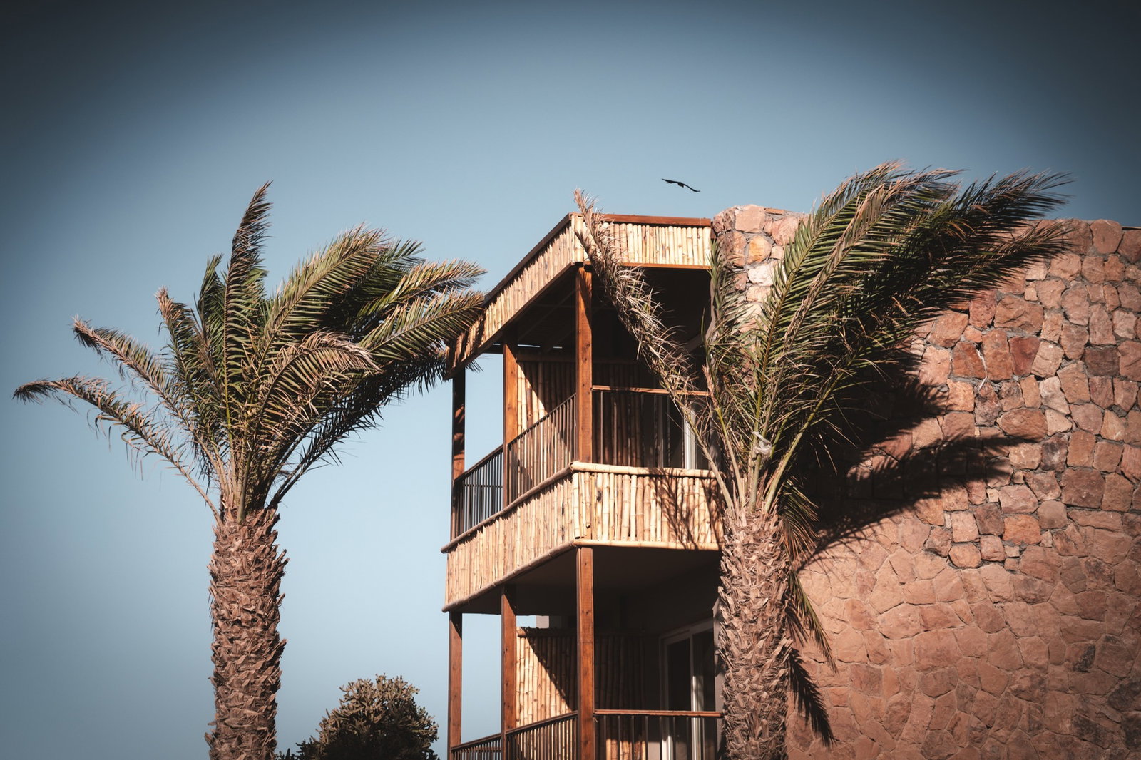 dal travel Ananea Hurghada
