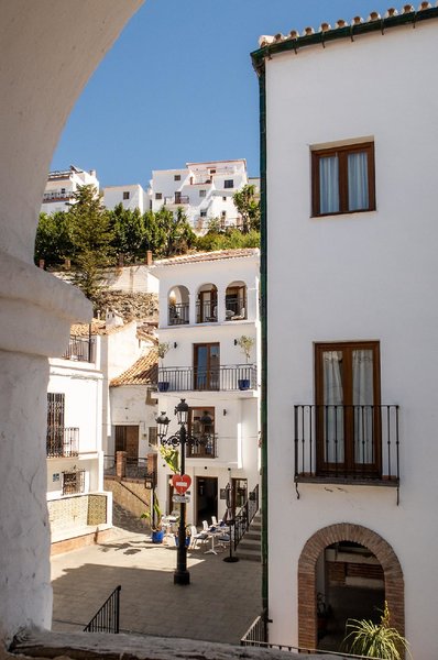 Hotel Olive & Ivy Guest House