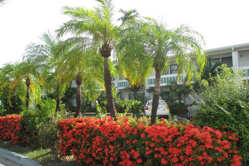 Hotel Shalimar Motel