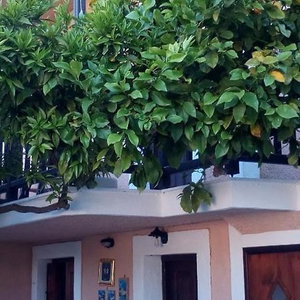 Hotel Sofias Garden Studios cazare Skopelos