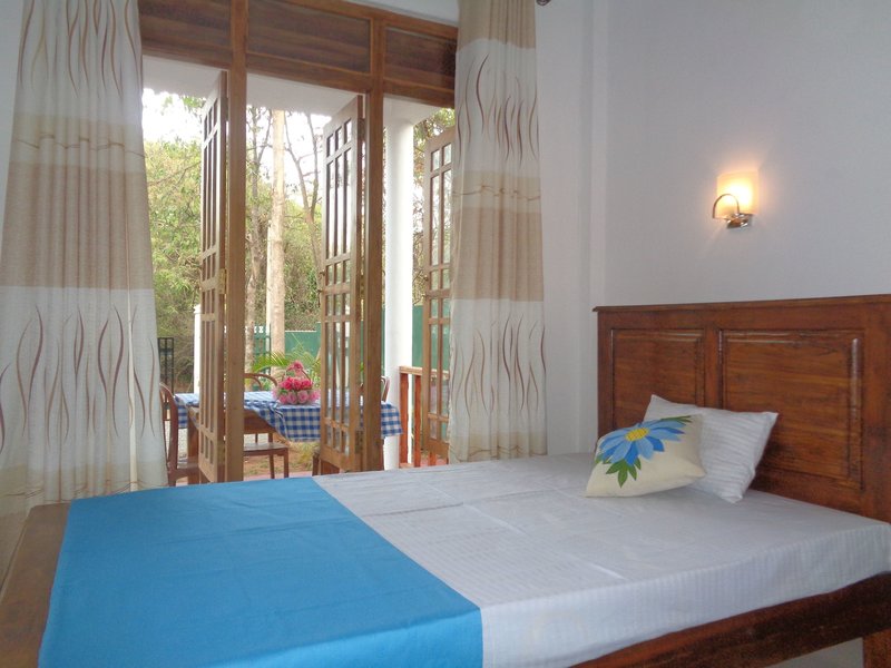 Jungle View Guest