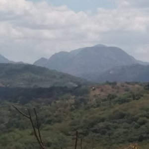 Hotel Nalanda Relaxation And Caping Site cazare Sri Lanka