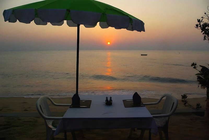 Hotel Sea Falcon On The Water
