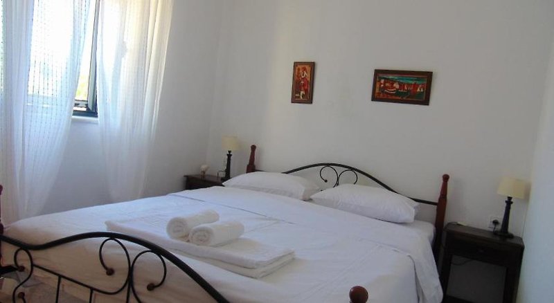 Olga's House