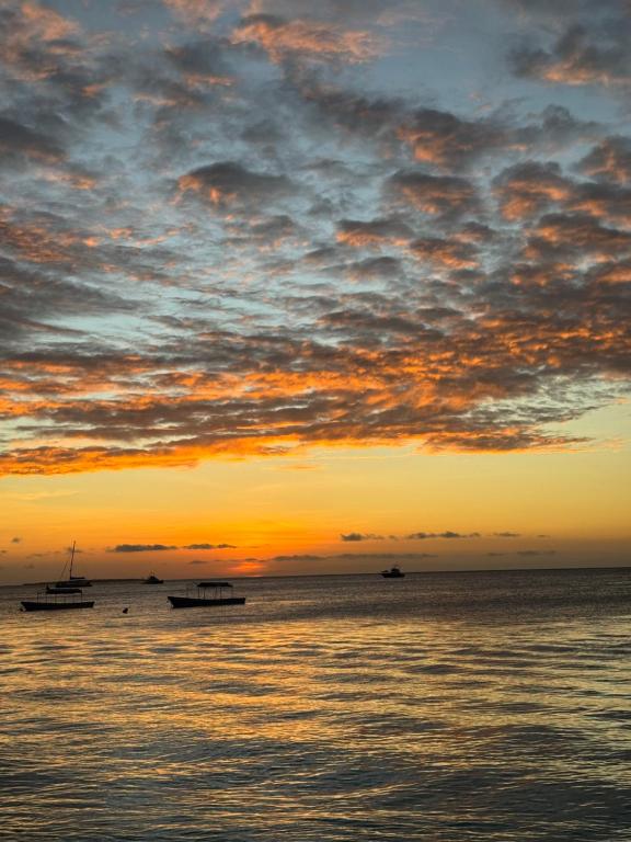 Hotel Pole Pole House