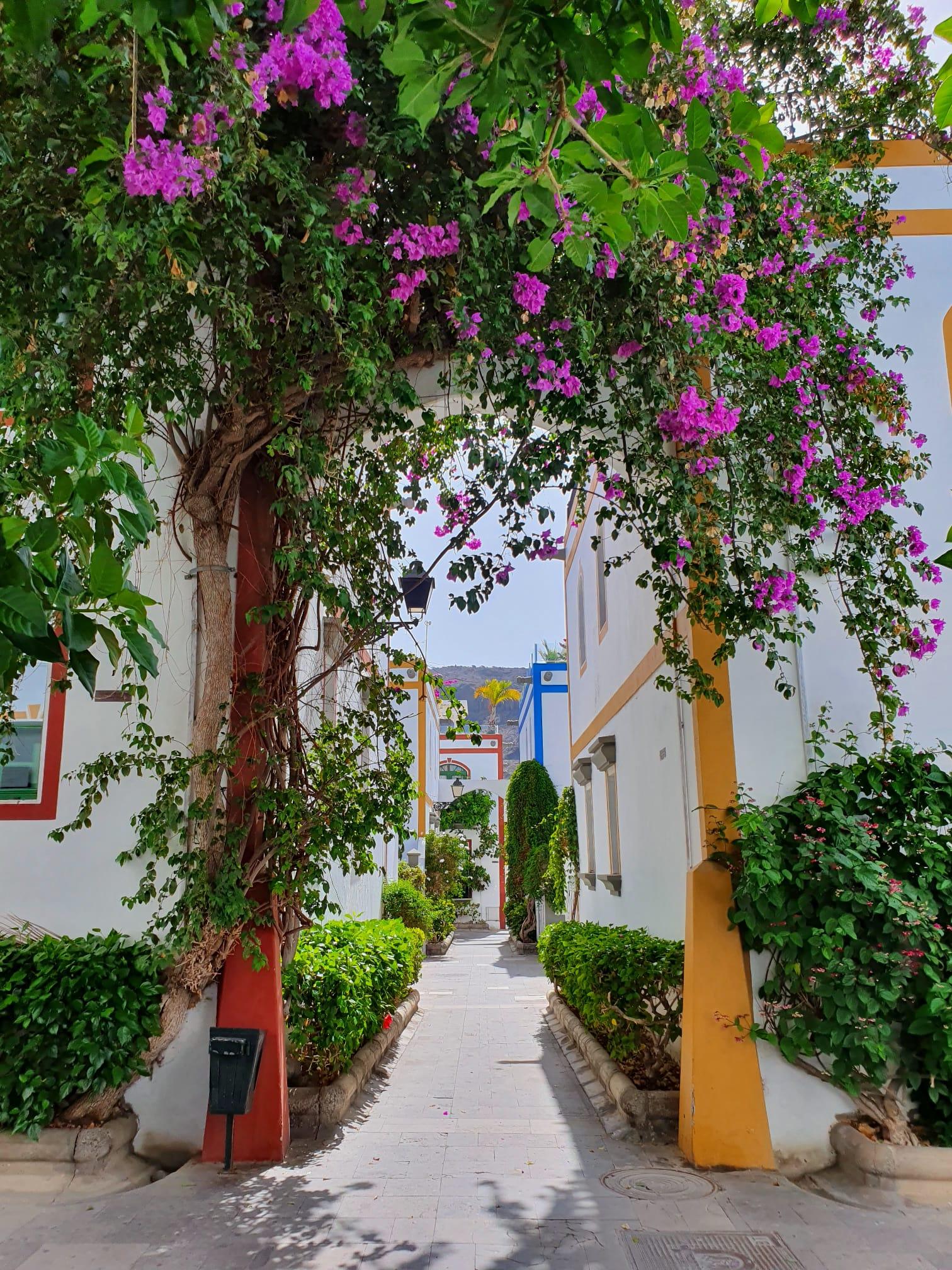 Billy's Puerto De Mogán Apartments By Livvo