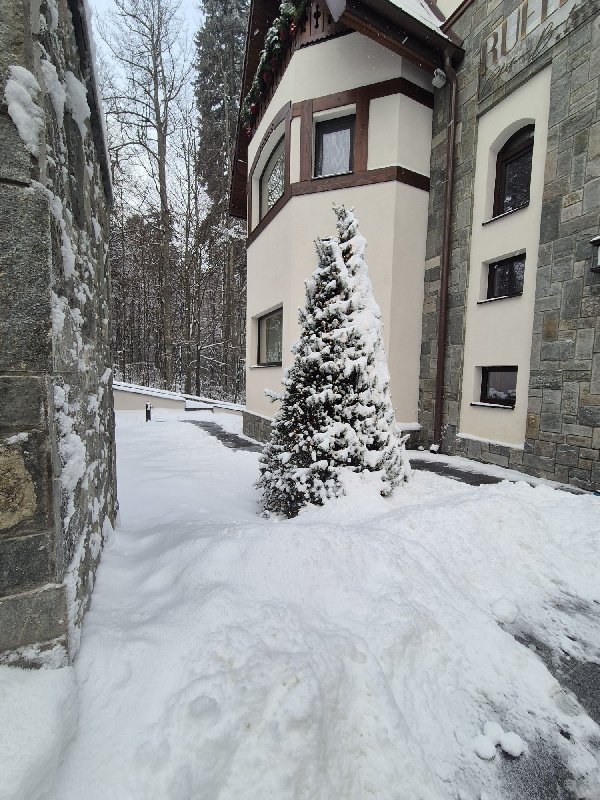 Ruelle Chateau Boutique