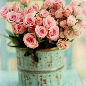 Sejur Kyriad Caen Sud vacanta Normandy