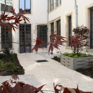 Sejur De Guise vacanta Nancy