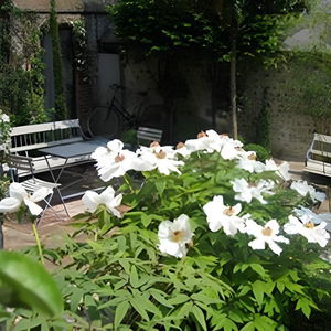 Hotel La Cour Sainte-Catherine cazare Honfleur