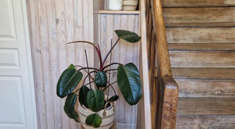 Hotel Le Logis De La Lande