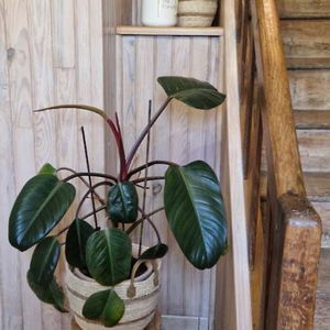 Sejur Le Logis De La Lande vacanta La Boissiere-des-Landes