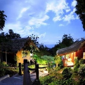 Hotel Tree House Bungalows cazare Koh Tao