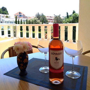 Hotel Vila V Lux cazare Petrovac na Moru