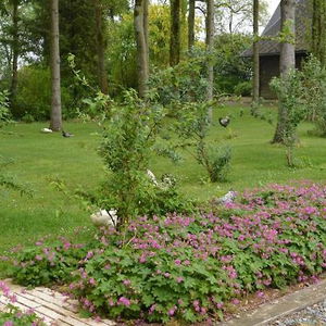 Hotel La Grange Des Marettes cazare Cleres