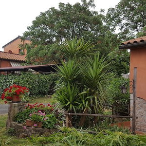 Hotel Agriturismo Il Giogo cazare Rosignano Marittimo