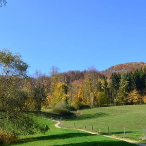 Hotel Bad Schauenburg, Hotel cazare Basel