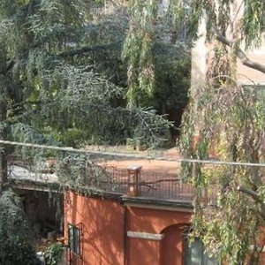 Hotel Beau Rivage cazare Alassio