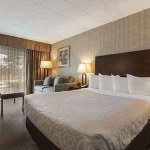 Hotel Best Western Brantford Hotel And Conference Centre cazare Brantford