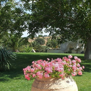 Hotel Tenuta Aguglia cazare Noto