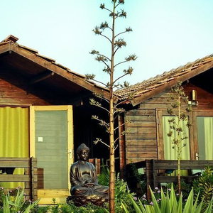 Hotel Lotus Sutra Beachside Abode cazare Arambol