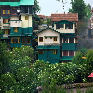 Hotel Pine Borough Inn cazare Kodaikanal