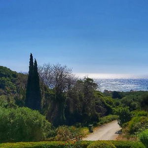 Hotel Artolithia Apartments cazare Epirus