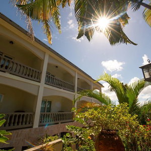 Hotel Lazy Parrot Inn cazare Rincon